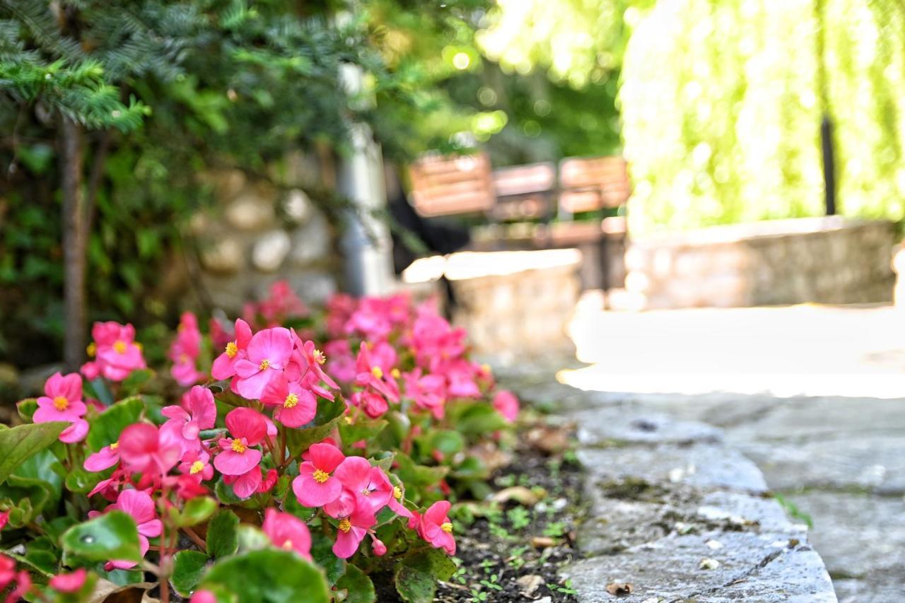 Jazina Trebinje